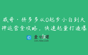 威哥·拼多多从0起步小白到大神运营全攻略，快速起量打造爆款