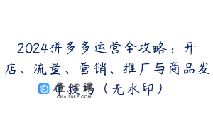 2024拼多多运营全攻略：开店、流量、营销、推广与商品发布技巧（无水印）