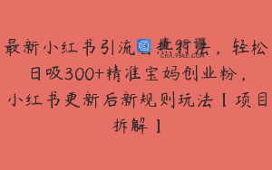 最新小红书引流自热打法，轻松日吸300+精准宝妈创业粉，小红书更新后新规则玩法【项目拆解】