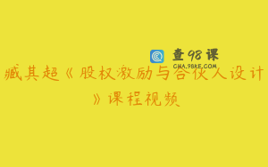 臧其超《股权激励与合伙人设计》课程视频