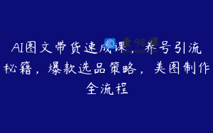 AI图文带货速成课，养号引流秘籍，爆款选品策略，美图制作全流程
