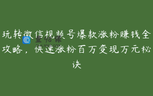 玩转微信视频号爆款涨粉赚钱全攻略，快速涨粉百万变现万元秘诀