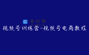 视频号训练营-视频号电商教程