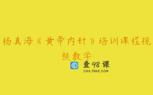 杨真海《黄帝内针》培训课程视频教学