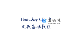 Photoshop CS5中文版基础教程