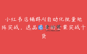 小红书店铺群AI自动化批量矩阵实战，选品爆单的全案实战干货