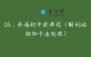 DS_疼痛初中级课程（解剖结构加手法处理）