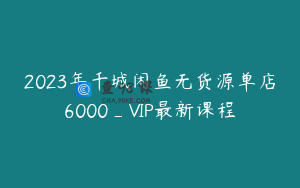 2023年千城闲鱼无货源单店6000_VIP最新课程