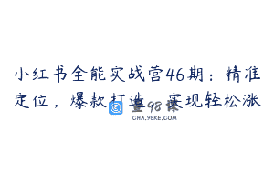 小红书全能实战营46期：精准定位，爆款打造，实现轻松涨