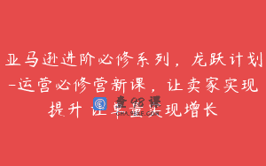 亚马逊进阶必修系列，龙跃计划-运营必修营新课，让卖家实现提升 让单量实现增长