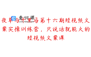 夜草与千里马第十六期短视频文案实操训练营，只说话就能火的短视频文案课