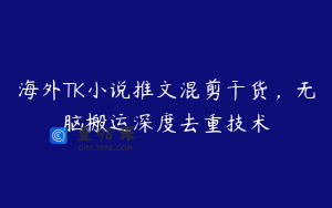 海外TK小说推文混剪干货，无脑搬运深度去重技术