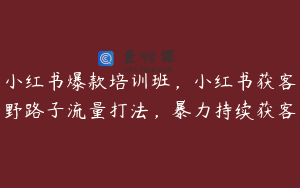 小红书爆款培训班，小红书获客野路子流量打法，暴力持续获客