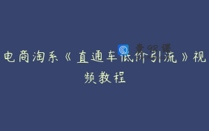 电商淘系《直通车低价引流》视频教程
