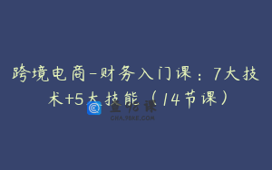 跨境电商-财务入门课：7大技术+5大技能（14节课）