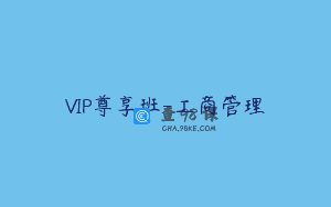VIP尊享班-工商管理