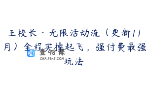 王校长·无限活动流（更新11月）全程实操起飞，强付费最强玩法