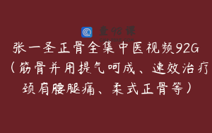 张一圣正骨全集中医视频92G（筋骨并用提气呵成、速效治疗颈肩腰腿痛、柔式正骨等）
