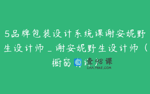 5品牌包装设计系统课谢安妮野生设计师_谢安妮野生设计师（橱窗有课）