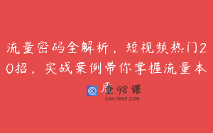 流量密码全解析，短视频热门20招，实战案例带你掌握流量本质
