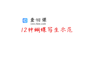 12种蝴蝶写生示范