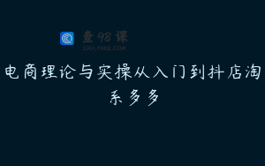 电商理论与实操从入门到抖店淘系多多