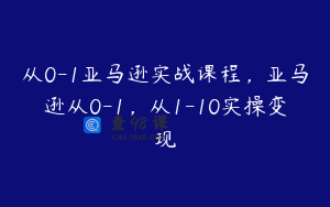从0-1亚马逊实战课程,亚马逊从0-1,从1-10实操变现