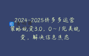 2024-2025拼多多运营策略蜕变3.0，0~1完美蜕变，解决信息焦虑