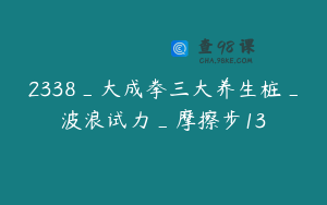 2338_大成拳三大养生桩_波浪试力_摩擦步13