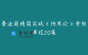 鲁法庭精简实战《伤寒论》音频课程20集