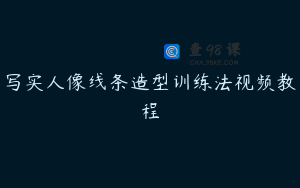 写实人像线条造型训练法视频教程