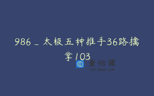 986_太极五种推手36路擒拿103