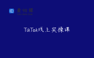 TikTok线上实操课