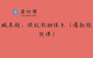 臧其超:股权激励体系(爆款视频课)