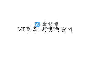 VIP尊享-财务与会计