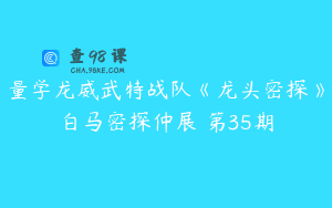 量学龙威武特战队《龙头密探》白马密探仲展 第35期
