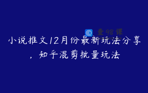 小说推文12月份最新玩法分享,知乎混剪批量玩法