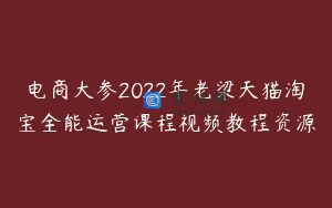电商大参2022年老梁天猫淘宝全能运营课程视频教程资源