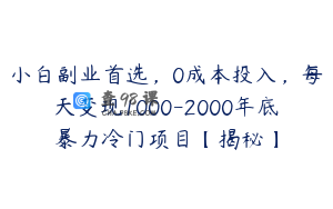 小白副业首选，0成本投入，每天变现1000-2000年底暴力冷门项目【揭秘】