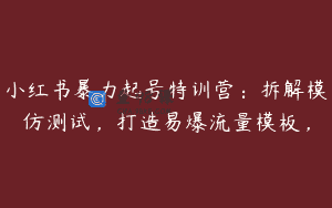 小红书暴力起号特训营：拆解模仿测试，打造易爆流量模板，