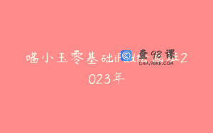 喵小玉零基础iPad绘画班2023年