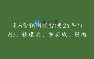 老A营销训练营(更24年11月)，轻理论，重实战，轻概