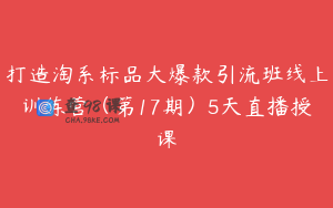 打造淘系标品大爆款引流班线上训练营（第17期）5天直播授课