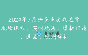 2024年7月拼多多实战运营现场课程，实时玩法，爆款打造，选品、规则解析