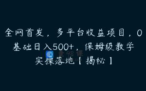全网首发，多平台收益项目，0基础日入500+，保姆级教学实操落地【揭秘】