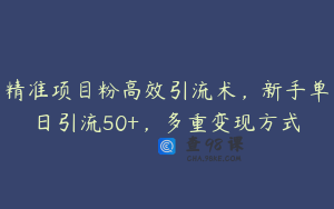 精准项目粉高效引流术，新手单日引流50+，多重变现方式