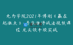 无为学院2021年傅刚《赢在起涨点》-寻底涨停战法视频课程 龙头领牛股实战