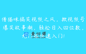 借猫咪搞笑视频之风，掀视频号爆笑故事潮，轻松日入四位数，无门槛快速入门!