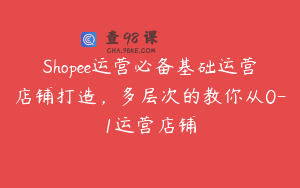 Shopee运营必备基础运营店铺打造，多层次的教你从0-1运营店铺