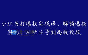 小红书打爆款实战课，解锁爆款密码，从矩阵号到高效投放